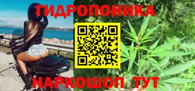 jwh Новозыбков