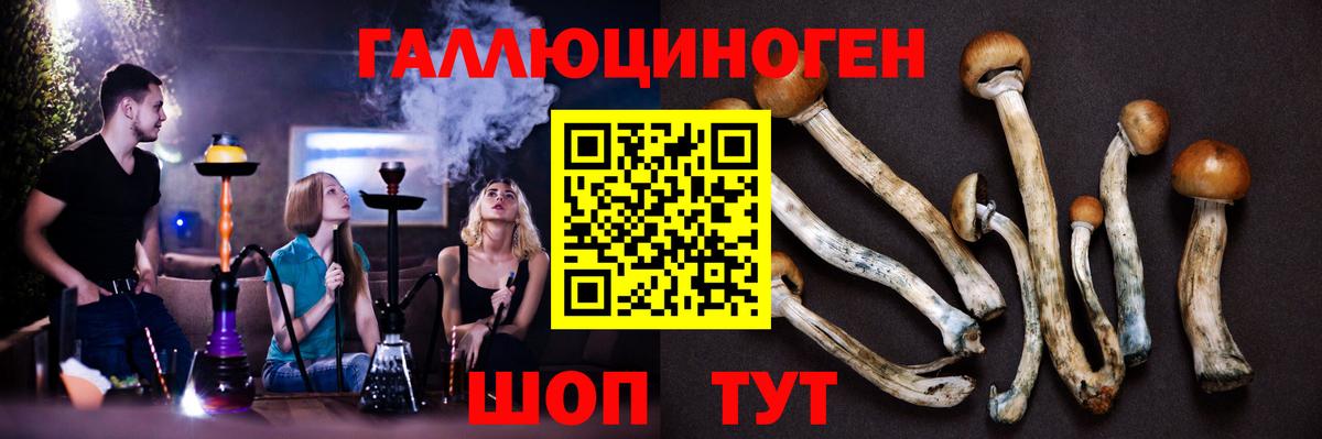 Псилоцибиновые грибы мицелий  Вход с VPN  Балашов  Галлюциногенные грибы мухоморы 